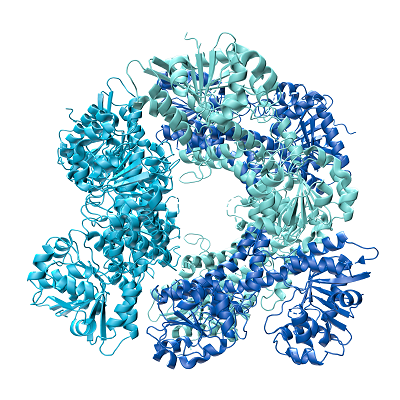 Graphic of a protein-based biologic