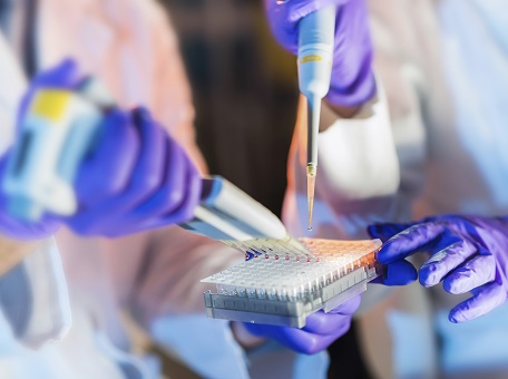 Multiple hands in purple surgical gloves holding pipettes and filling test tubes